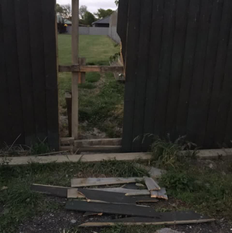 The photograph attached to this parks report