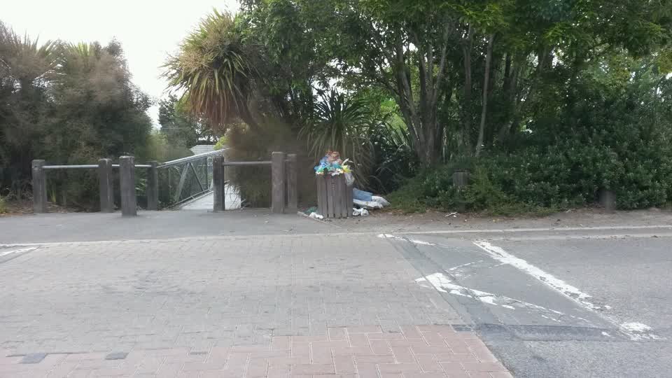 The photograph attached to this rubbish/recycling report