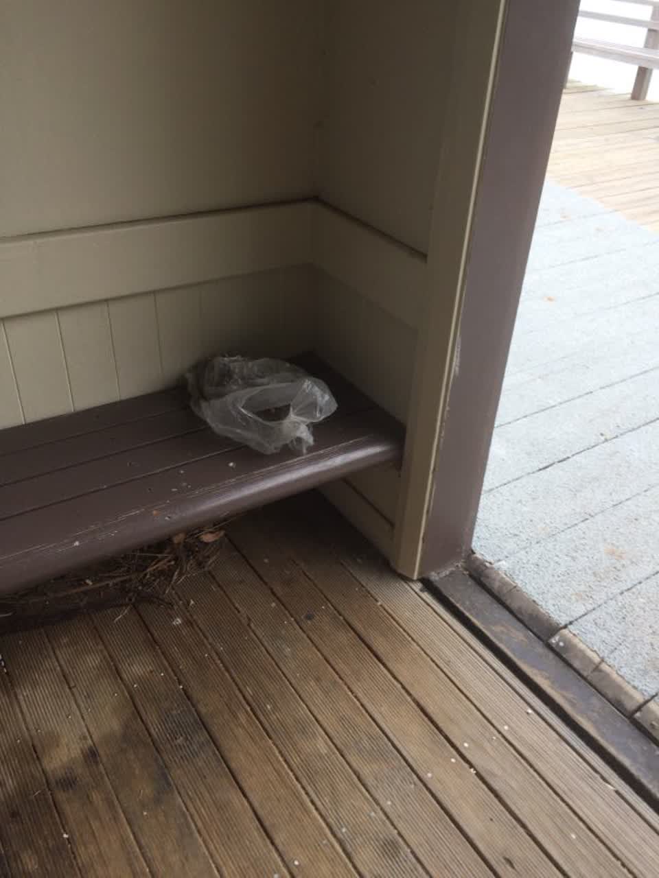 The photograph attached to this parks report