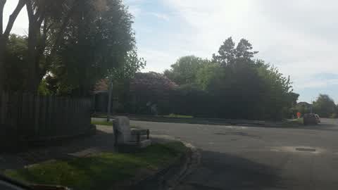 Rubbish/Recycling, a report photo