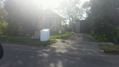 Rubbish/Recycling, a report photo