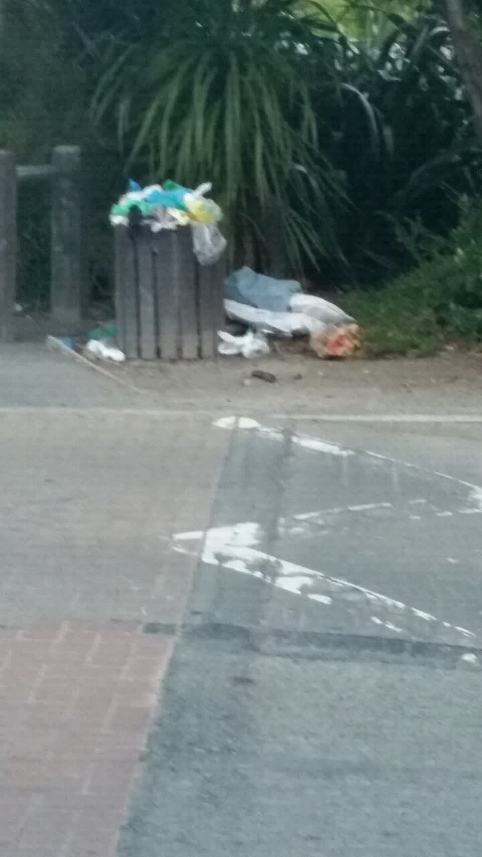 The photograph attached to this rubbish/recycling report