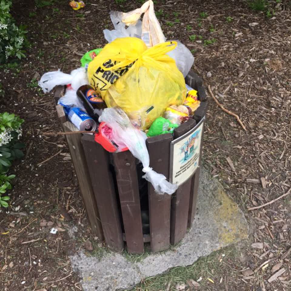 The photograph attached to this rubbish/recycling report