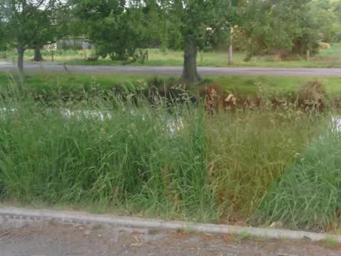 Parks, a report photo