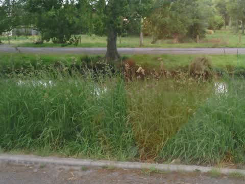 Parks, a report photo