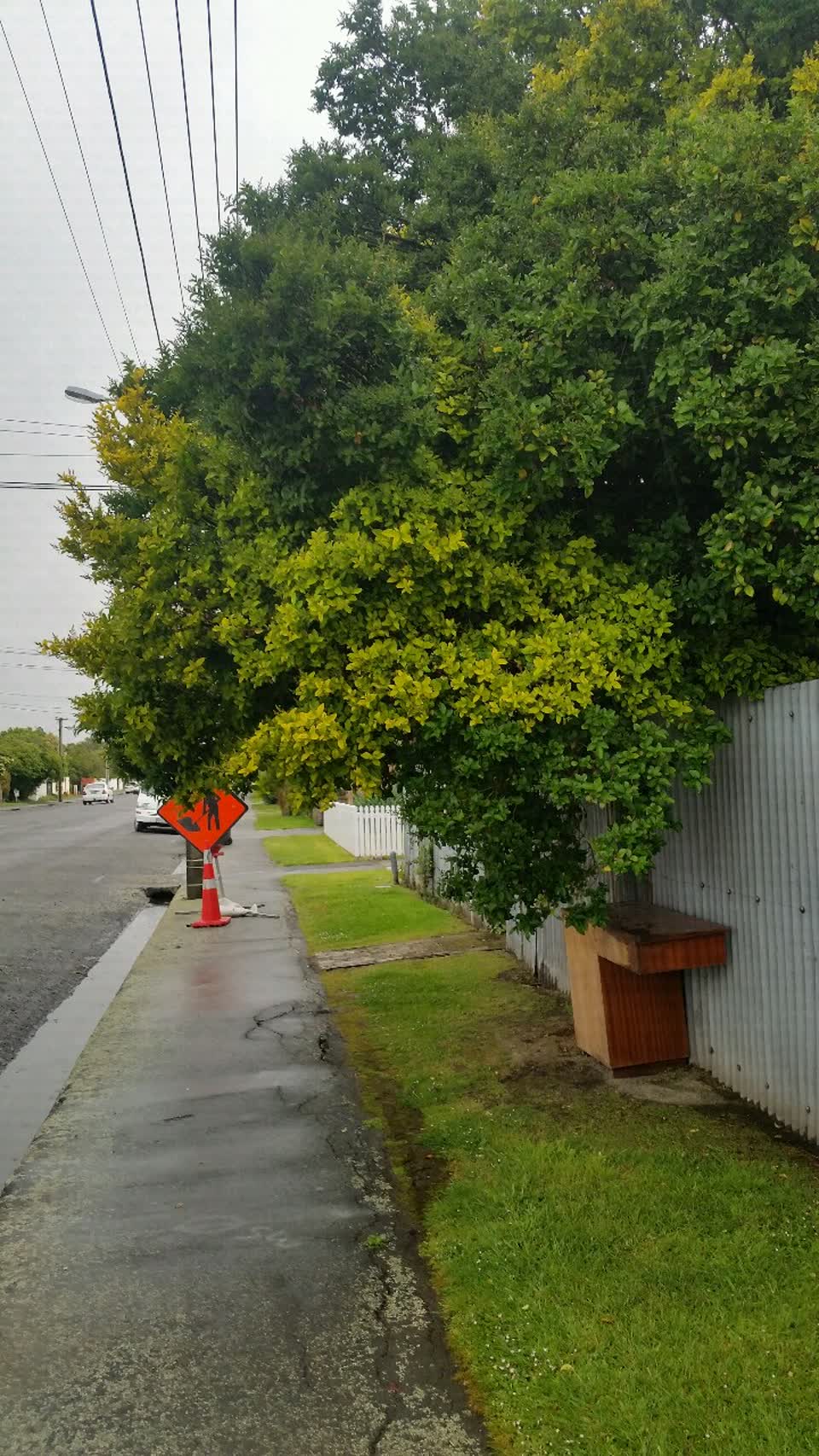 The photograph attached to this roading/streets report