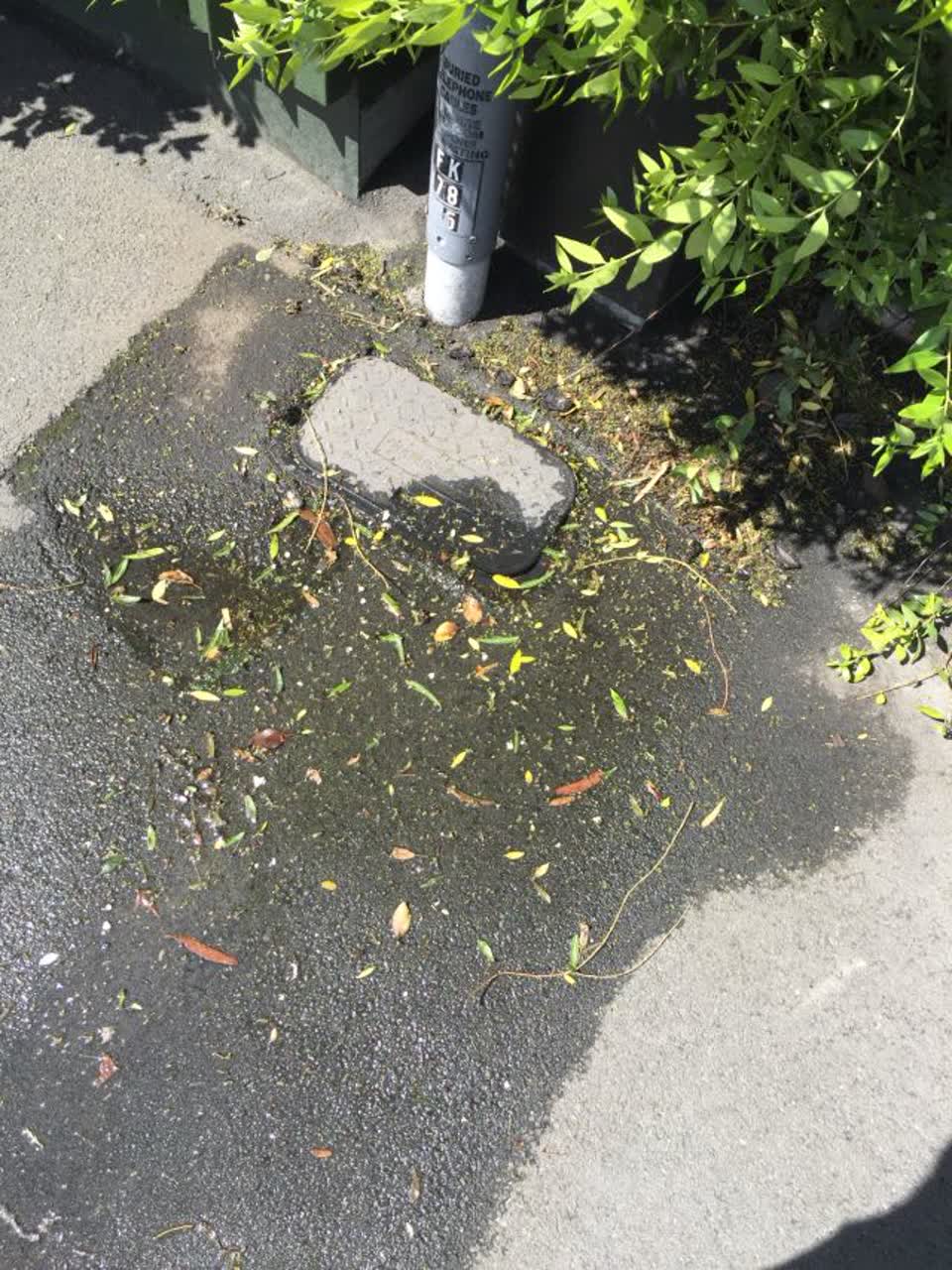 The photograph attached to this water supply report