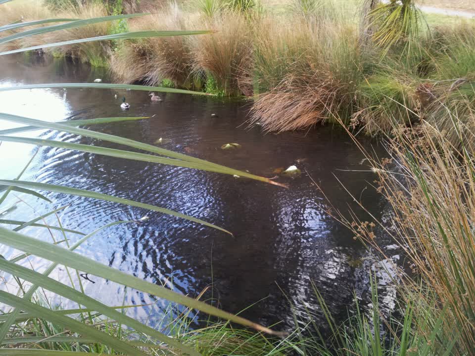 The photograph attached to this parks report