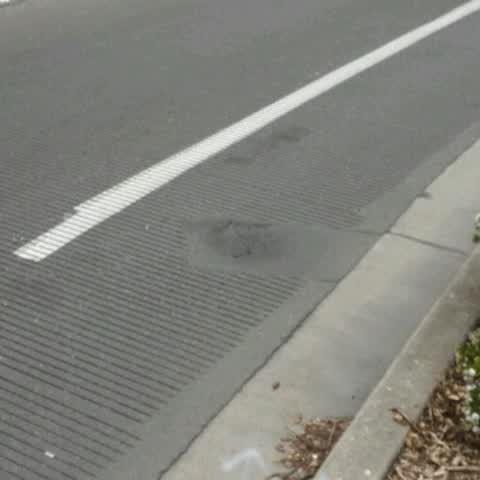 Roading/Streets, a report photo