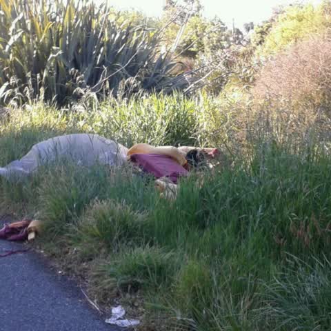 Rubbish/Recycling, a report photo