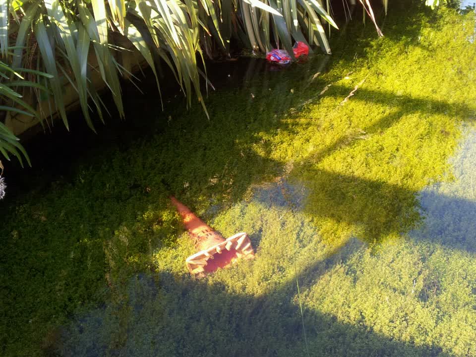 The photograph attached to this parks report