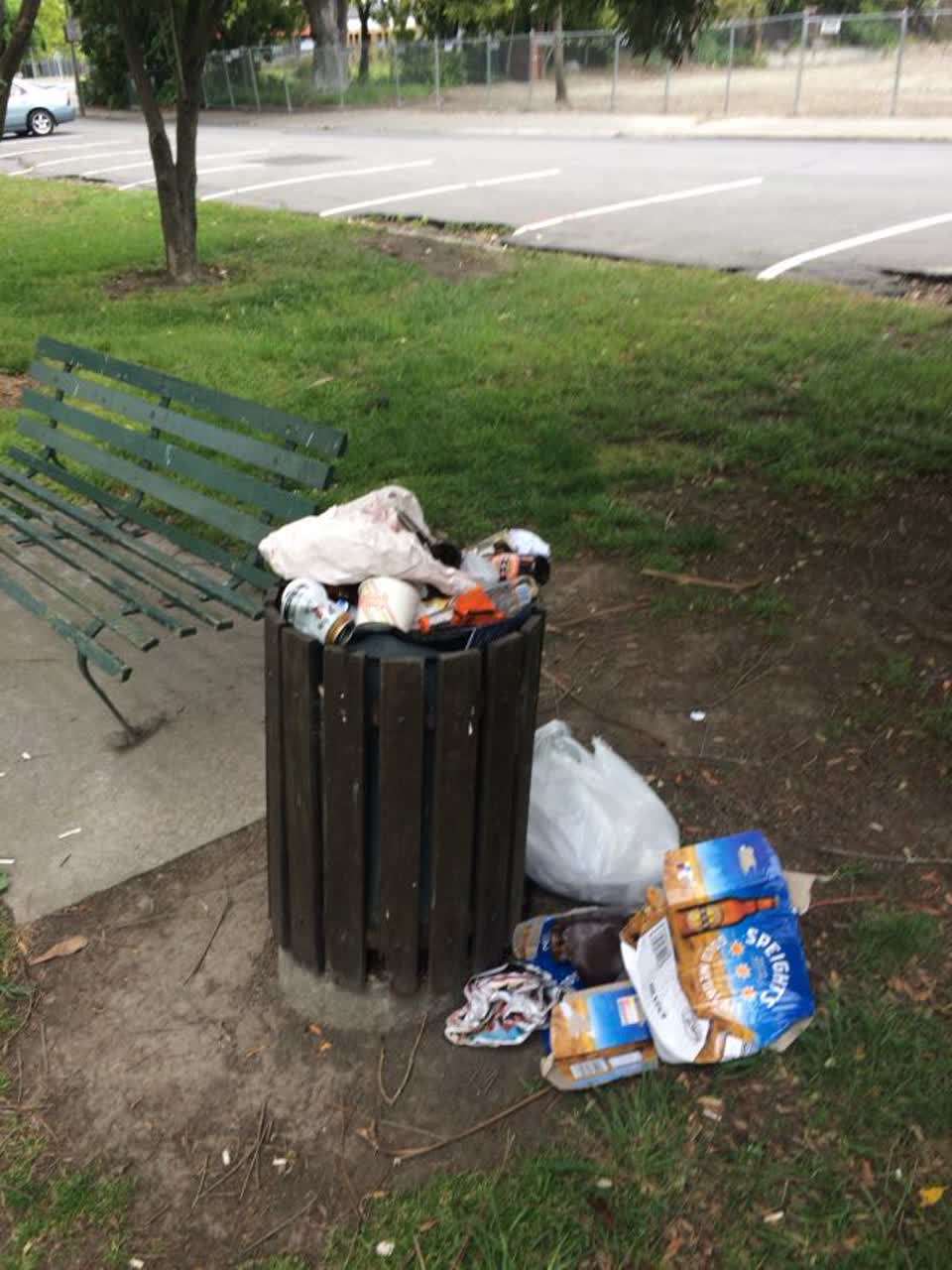 The photograph attached to this rubbish/recycling report
