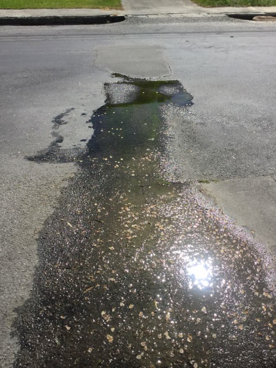 The photograph attached to this water supply report