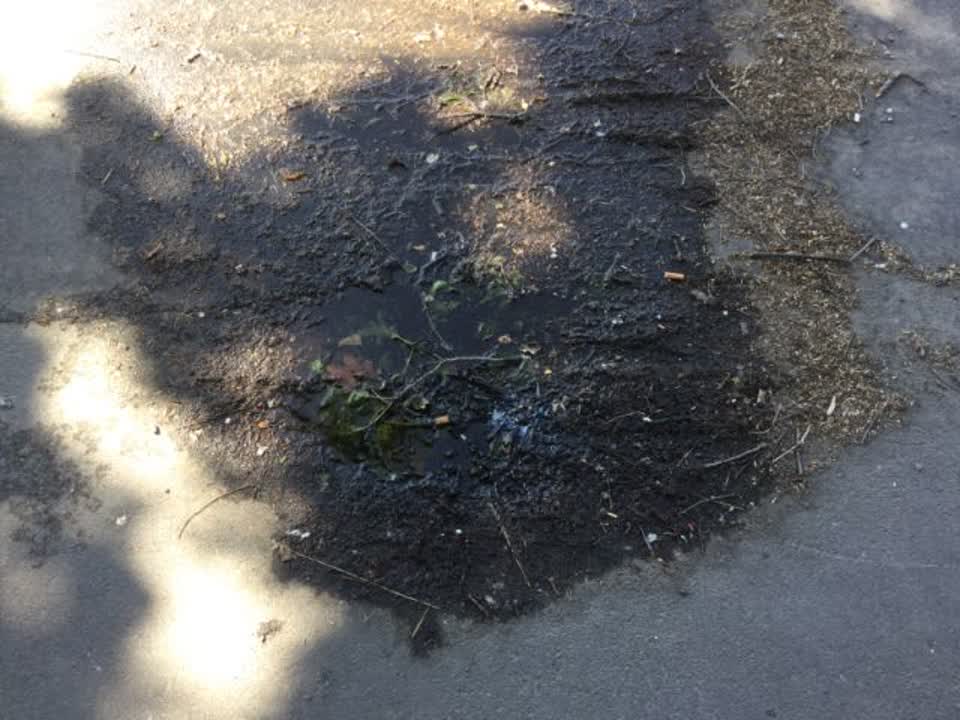 The photograph attached to this water supply report