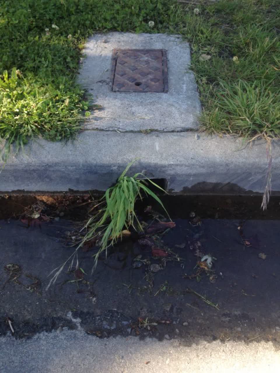 The photograph attached to this water supply report
