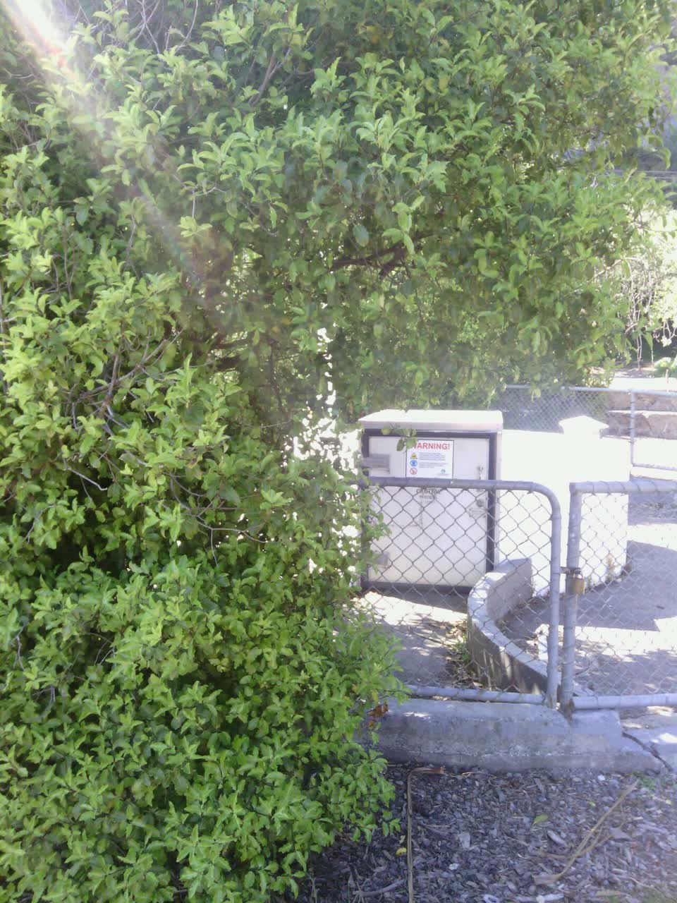 The photograph attached to this parks report