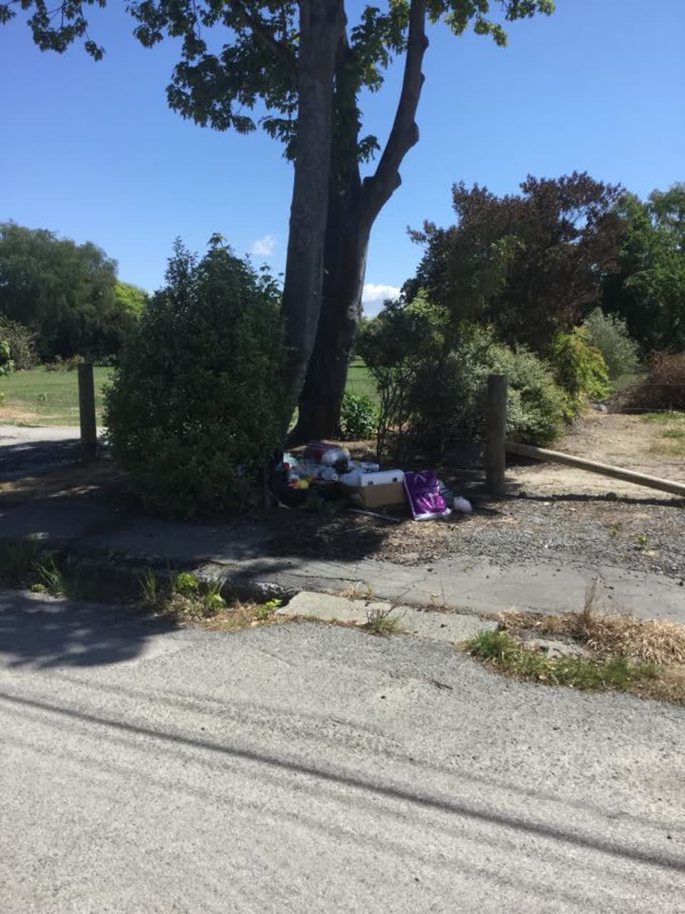 The photograph attached to this rubbish/recycling report