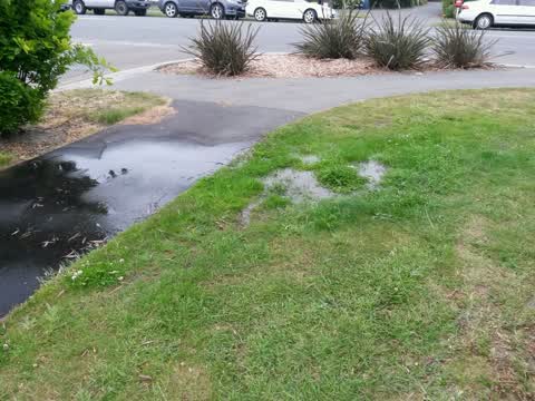 Water Supply, a report photo
