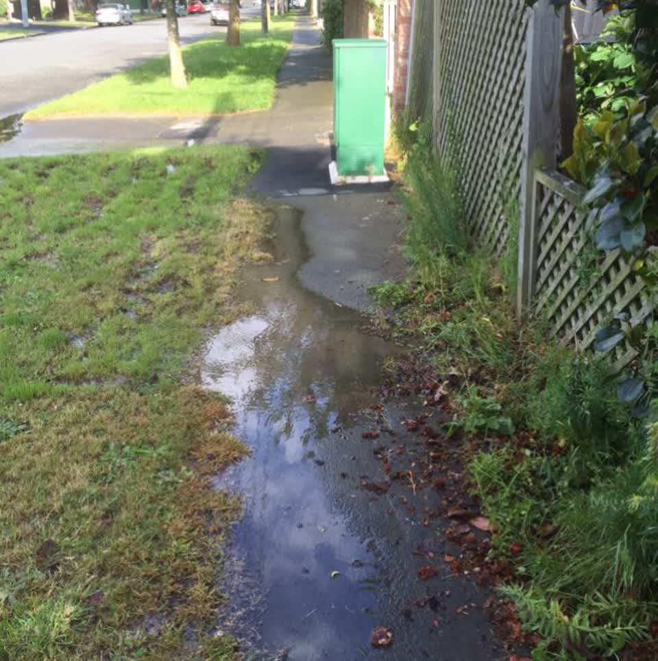 The photograph attached to this water supply report