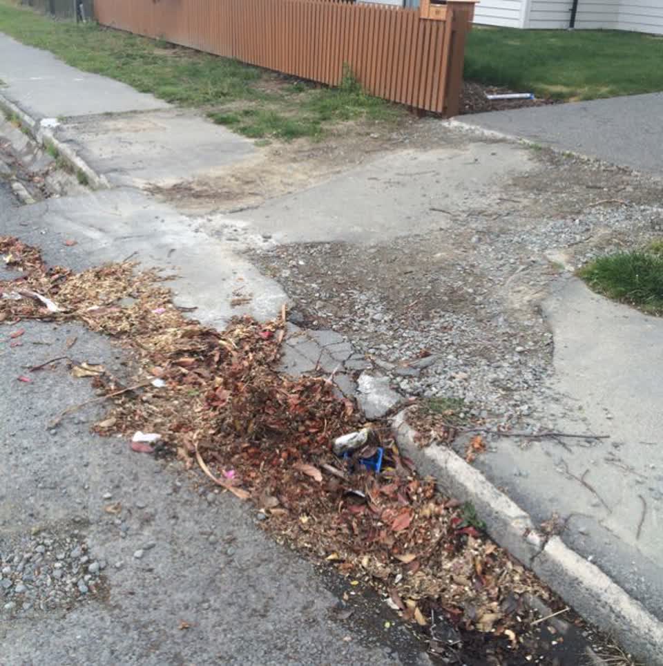 The photograph attached to this roading/streets report