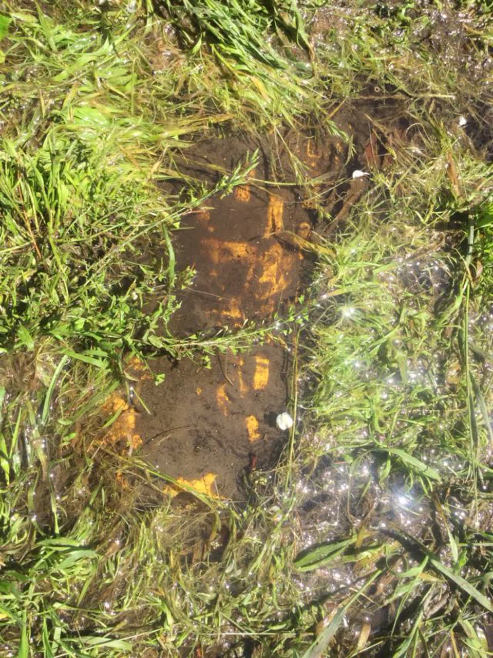 The photograph attached to this water supply report