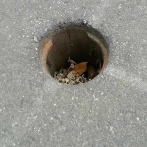 Roading/Streets, a report photo