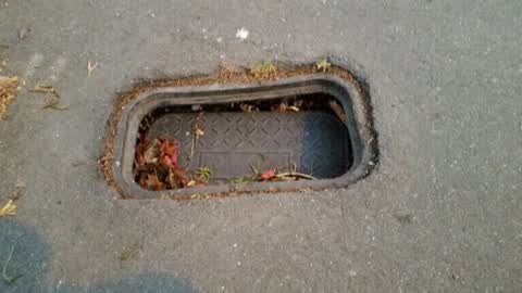Roading/Streets, a report photo