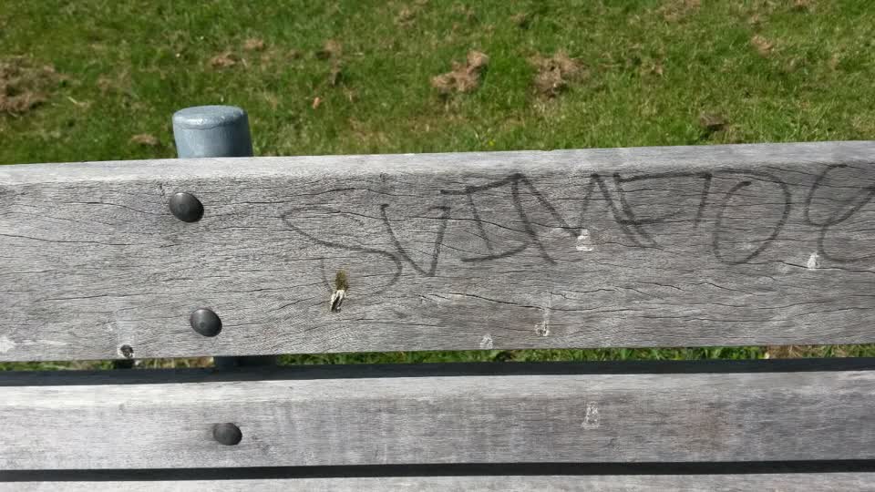 The photograph attached to this graffiti report