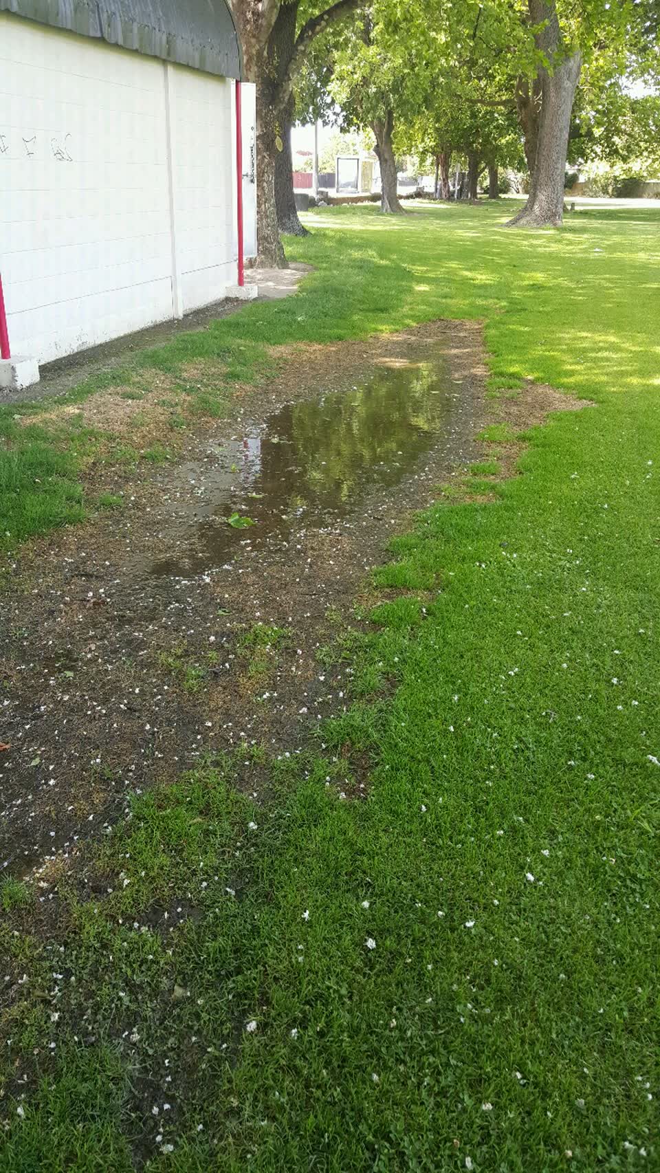 The photograph attached to this parks report
