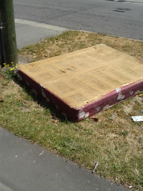 Rubbish/Recycling, a report photo
