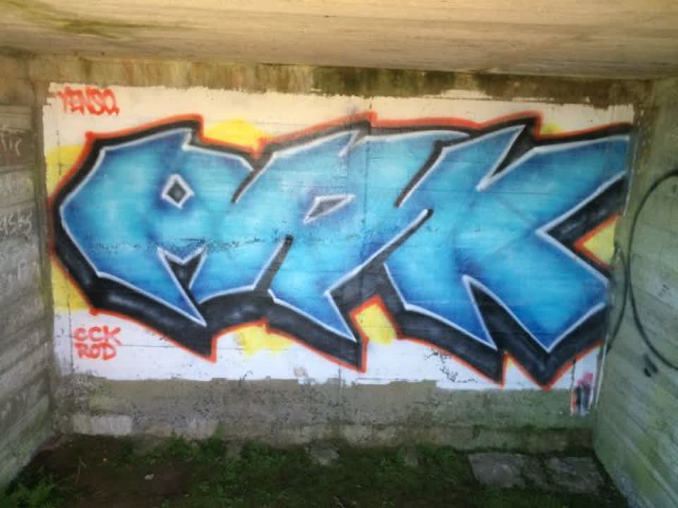 The photograph attached to this graffiti report