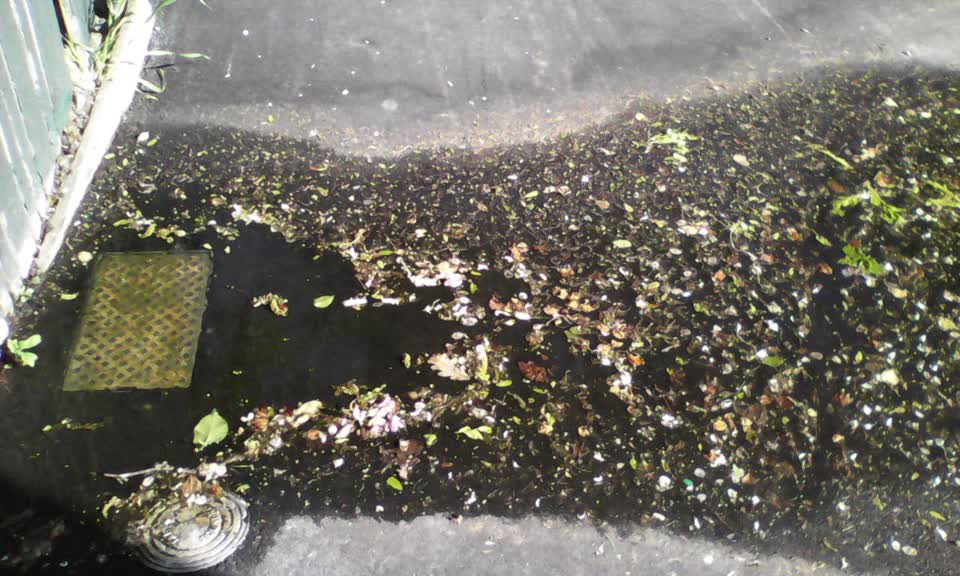 The photograph attached to this wastewater/stormwater report
