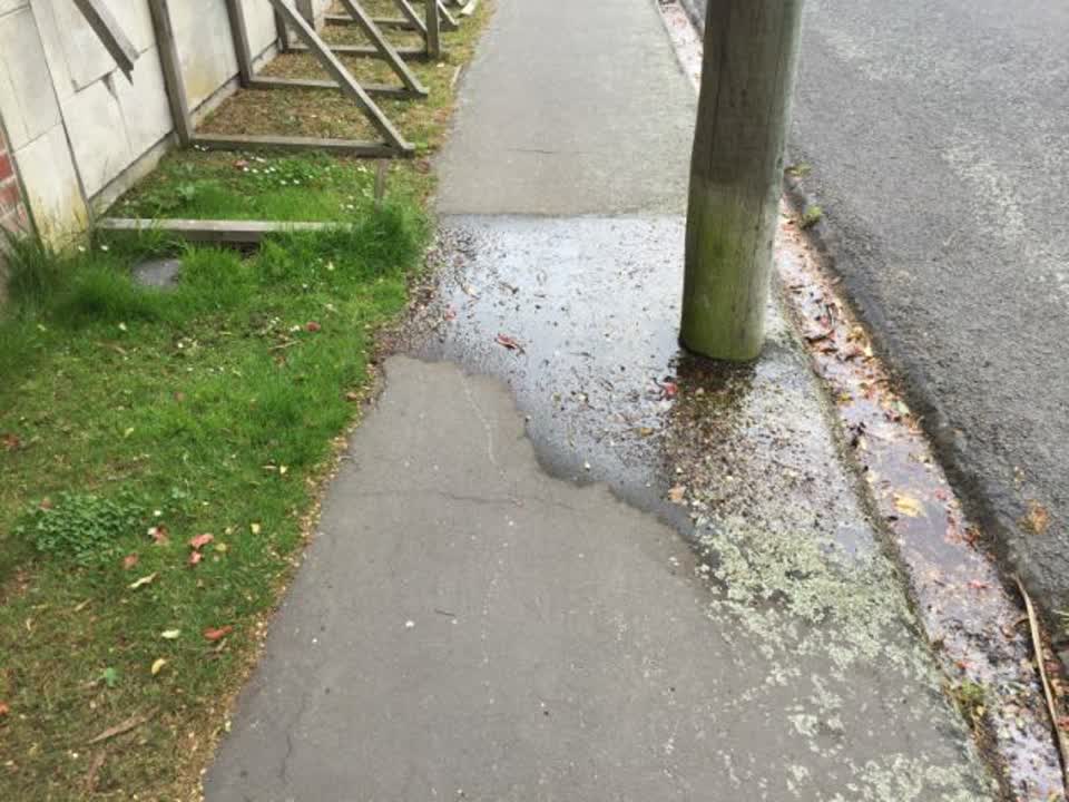 The photograph attached to this water supply report