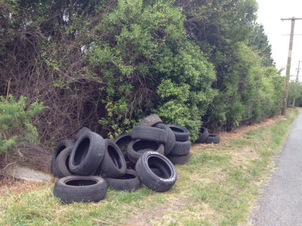The photograph attached to this rubbish/recycling report