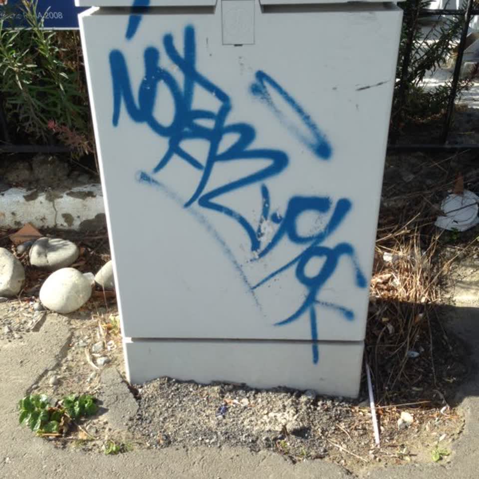 The photograph attached to this graffiti report