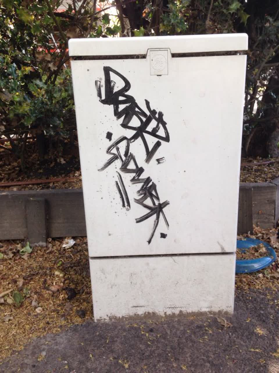 The photograph attached to this graffiti report