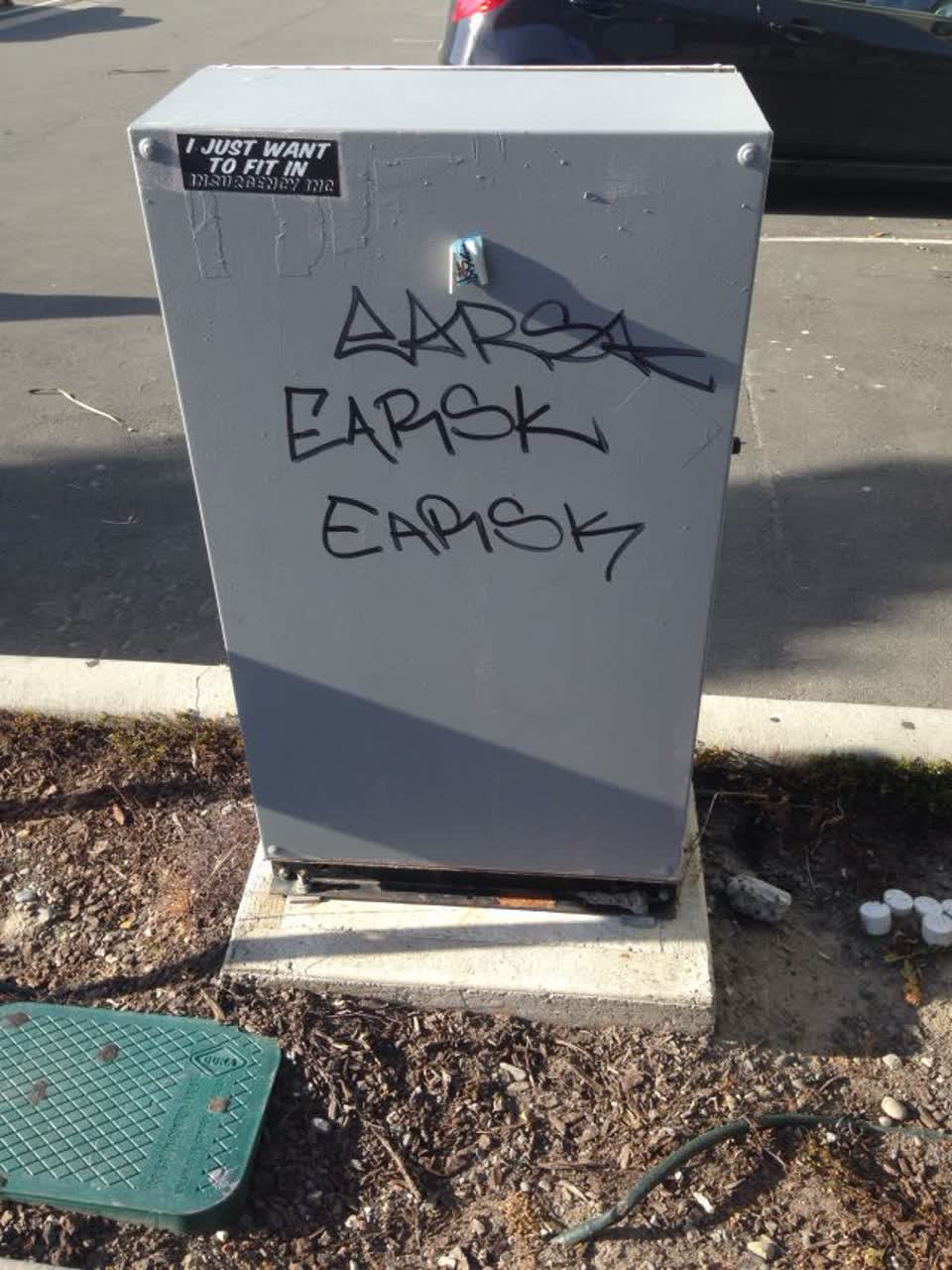 The photograph attached to this graffiti report