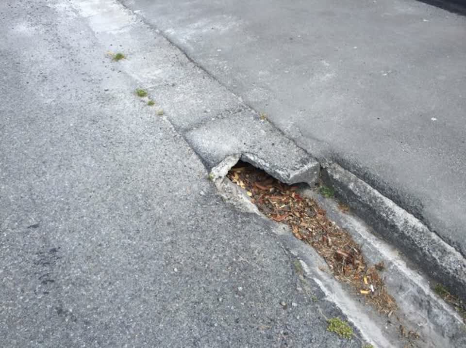 The photograph attached to this roading/streets report