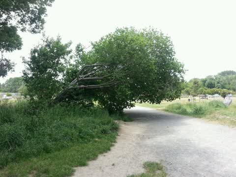 Parks, a report photo