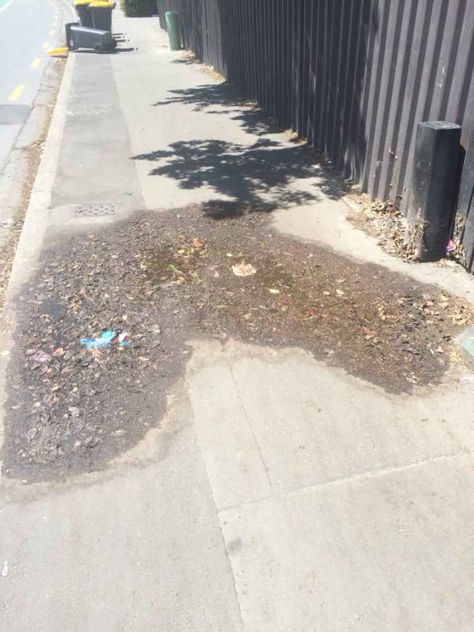 The photograph attached to this water supply report
