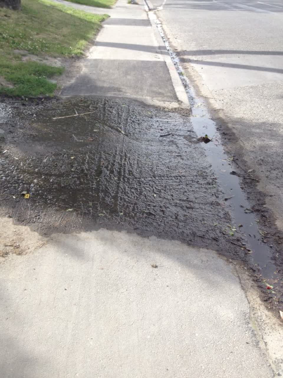 The photograph attached to this roading/streets report