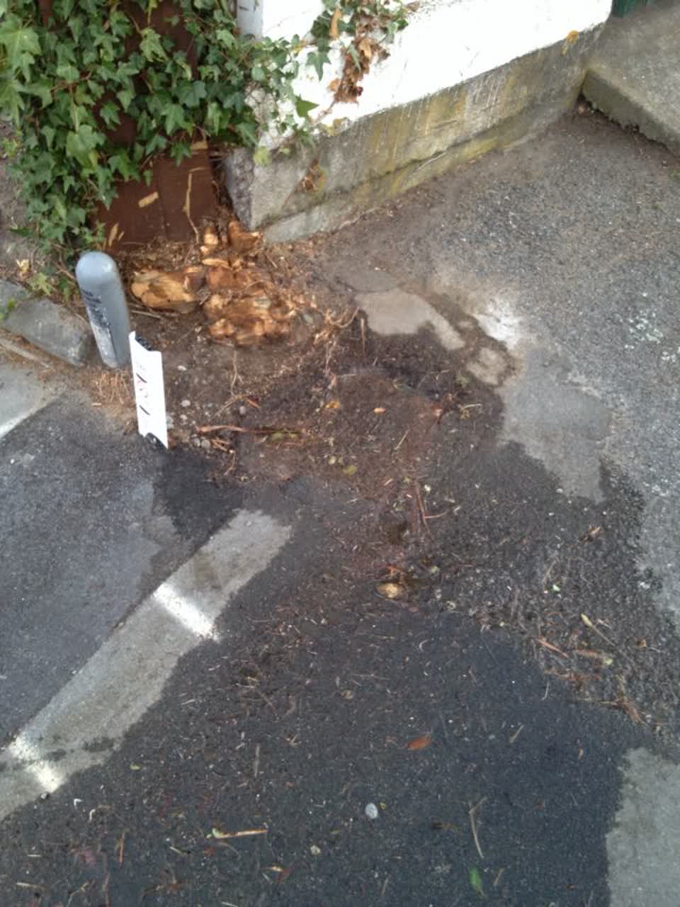 The photograph attached to this water supply report