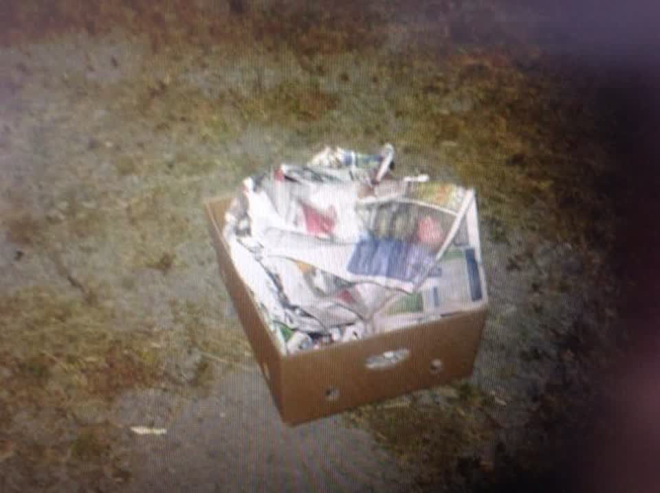 The photograph attached to this rubbish/recycling report