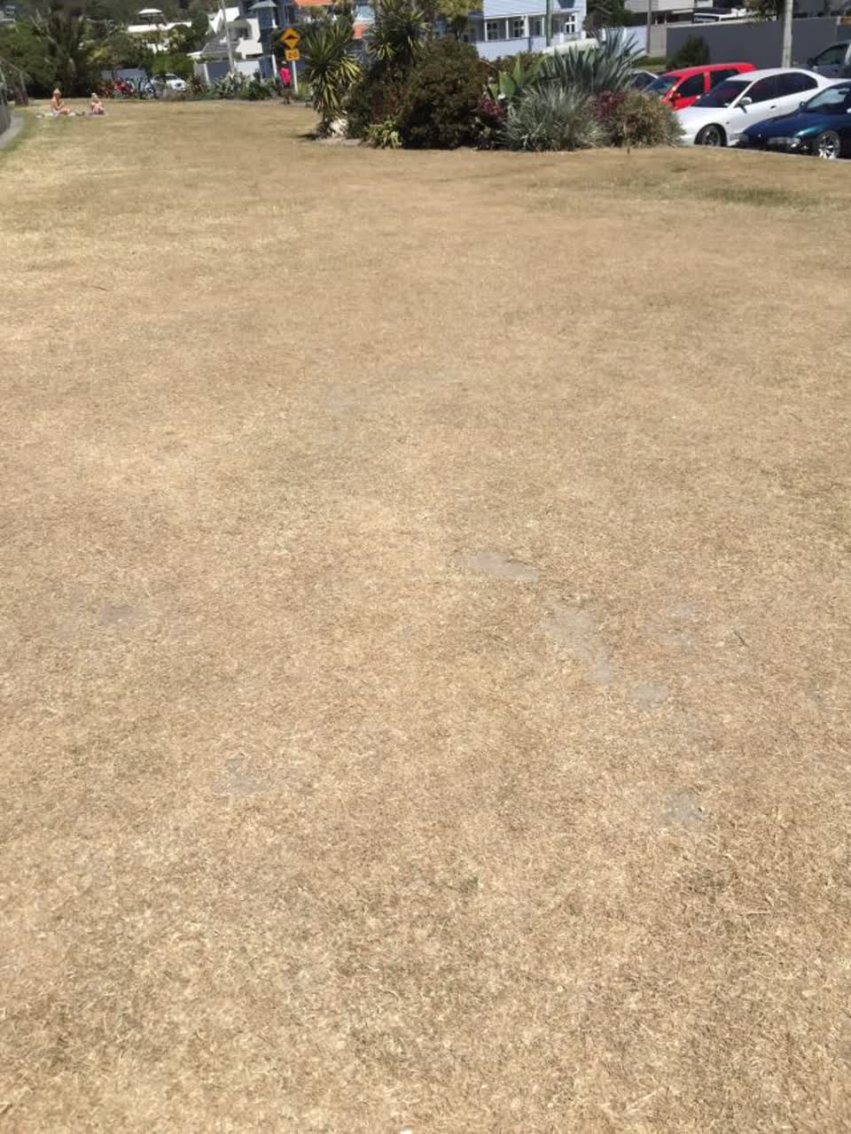 The photograph attached to this parks report