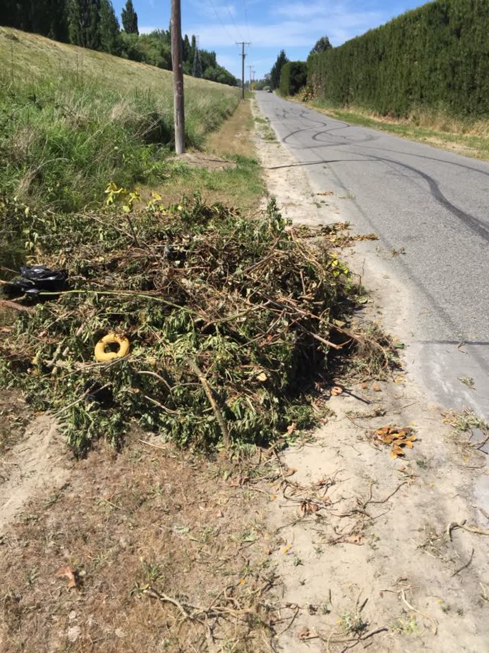 The photograph attached to this roading/streets report