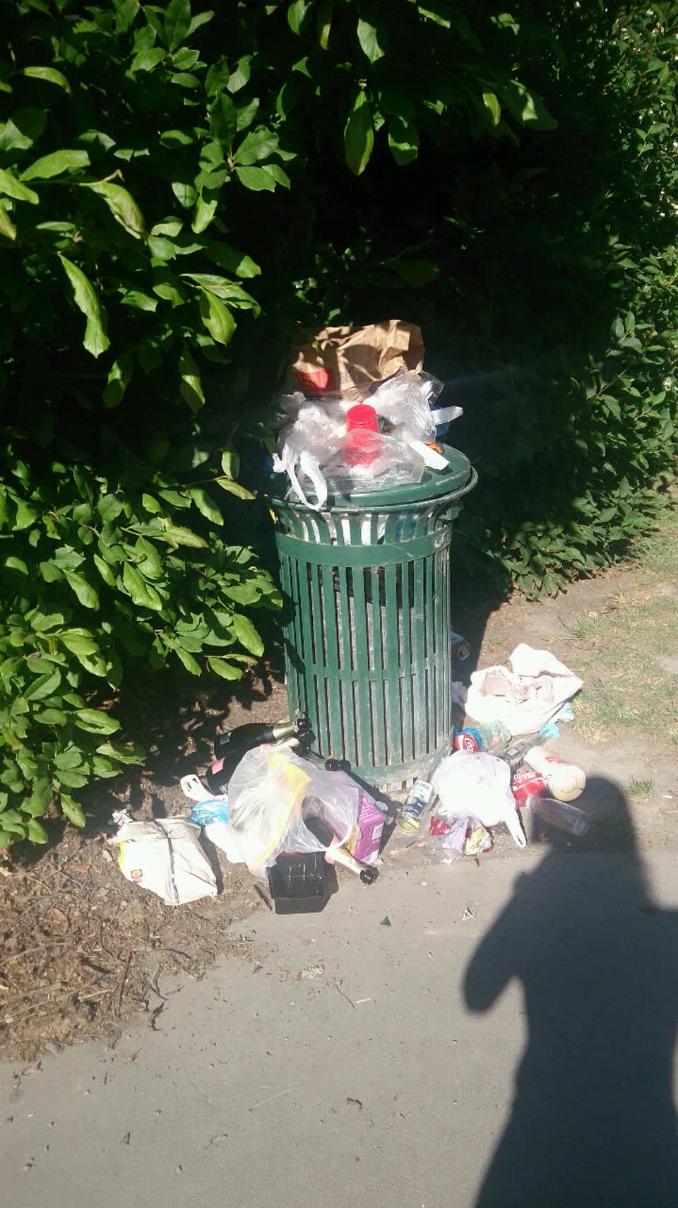 The photograph attached to this parks report