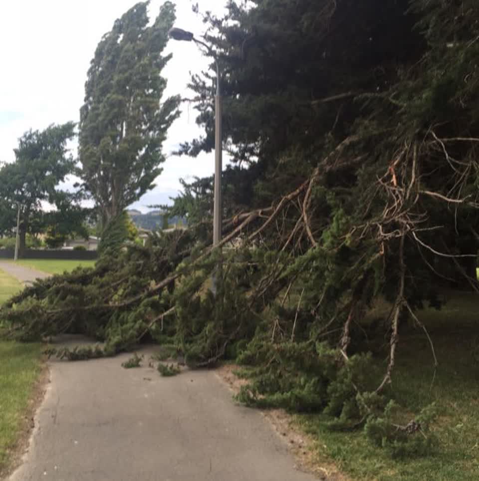 The photograph attached to this parks report