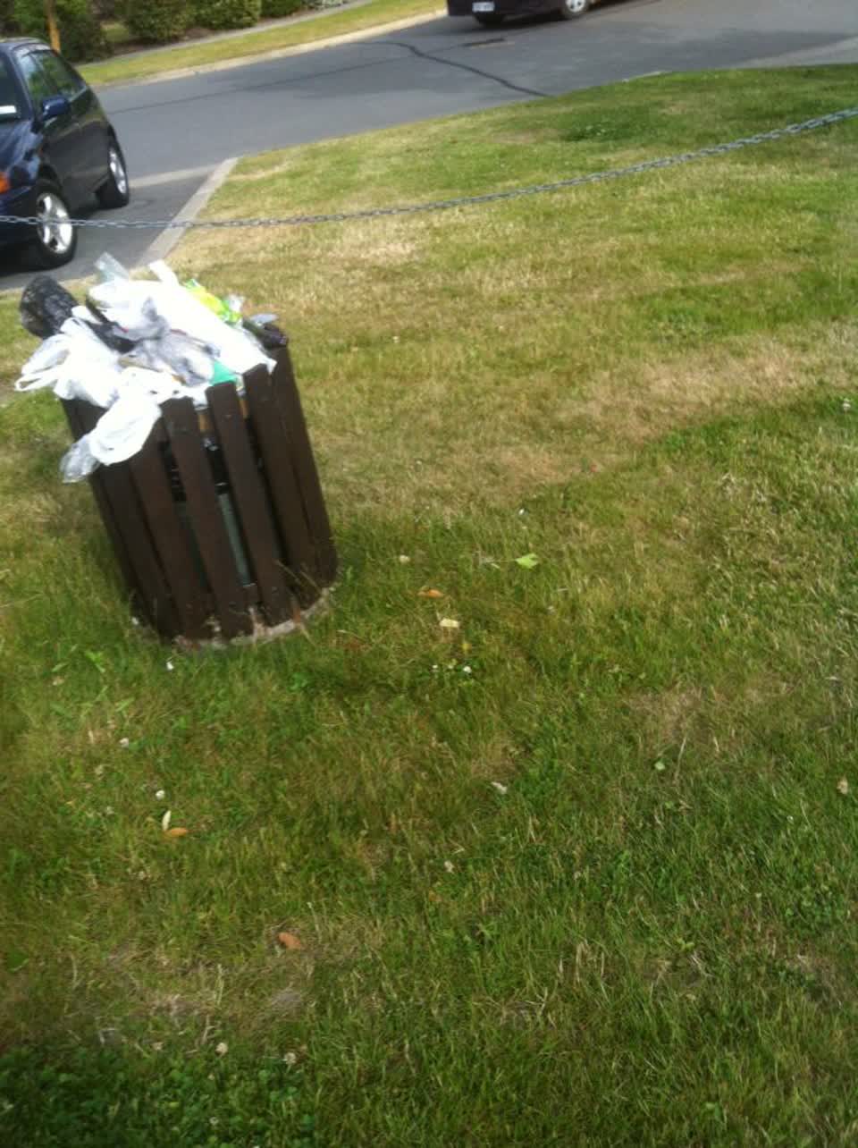 The photograph attached to this parks report