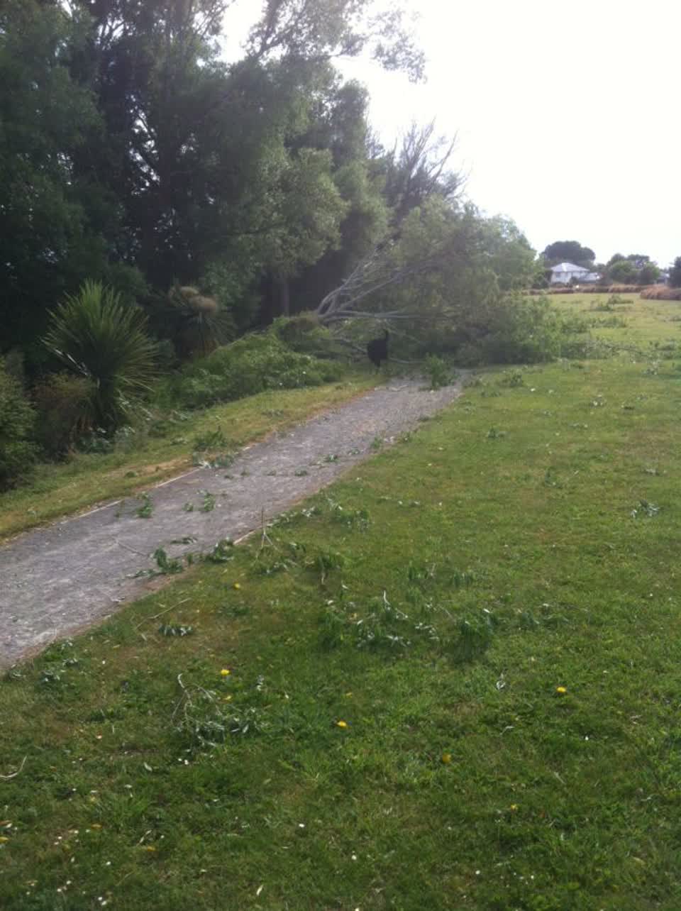 The photograph attached to this parks report