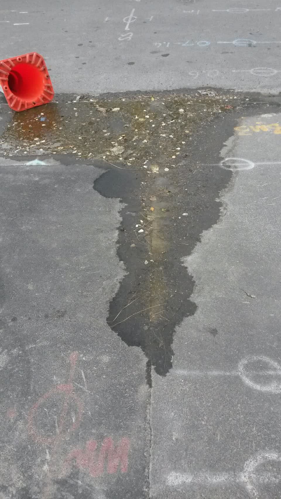 The photograph attached to this water supply report